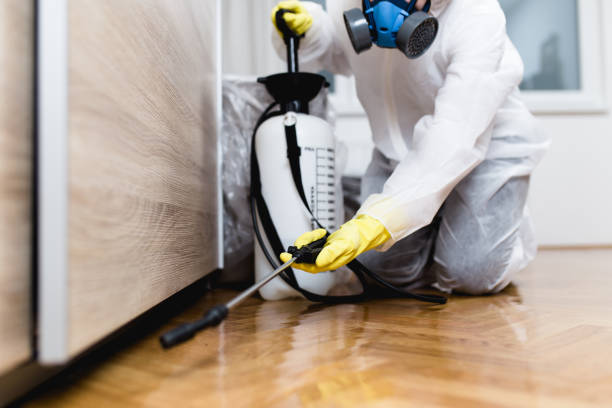 Best Emergency Pest Control  in Panthersville, GA