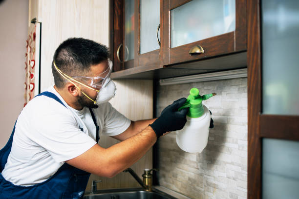 Best Ant Control Services  in Panthersville, GA