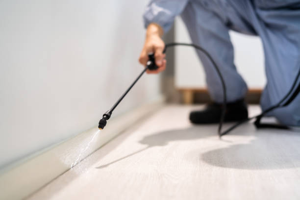 Best Pest Prevention Services  in Panthersville, GA