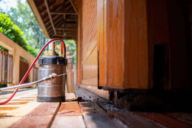 Best Local Pest Control Services  in Panthersville, GA