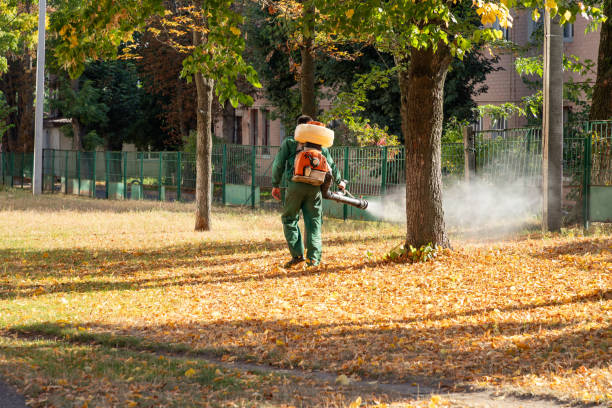 Best Mosquito Control Services  in Panthersville, GA