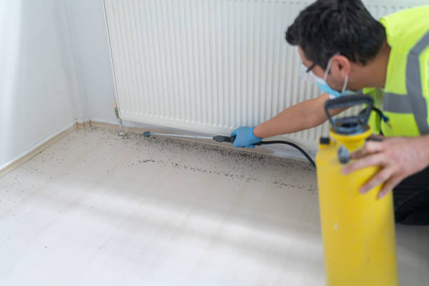 Flea Control Services in Panthersville, GA
