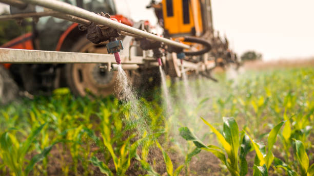 Best Commercial Pest Control Services  in Panthersville, GA
