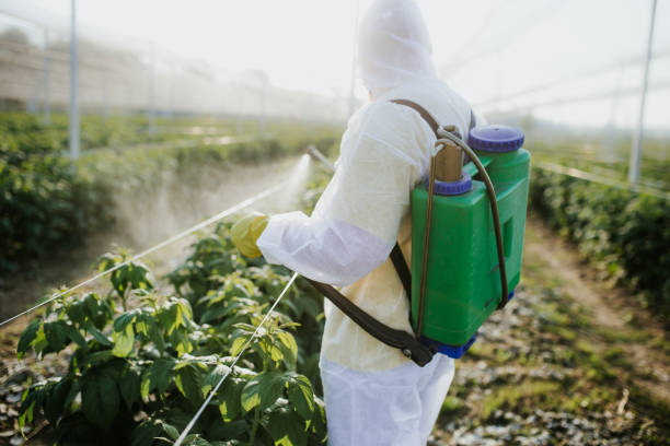 Best Residential Pest Control  in Panthersville, GA